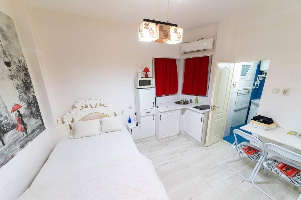 Cozybucharest Studio Exteriér fotografie